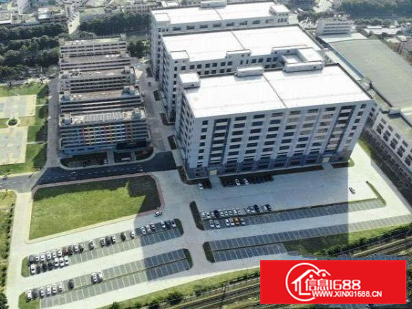 （出租）红本独院新建厂房，空地超大