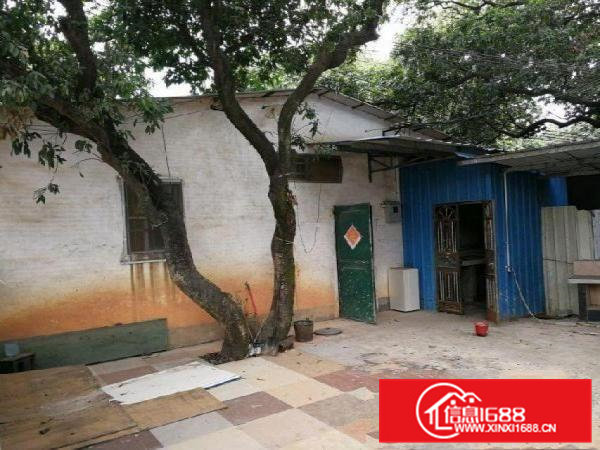 袁山贝袁山贝靠环常路厂房260平米