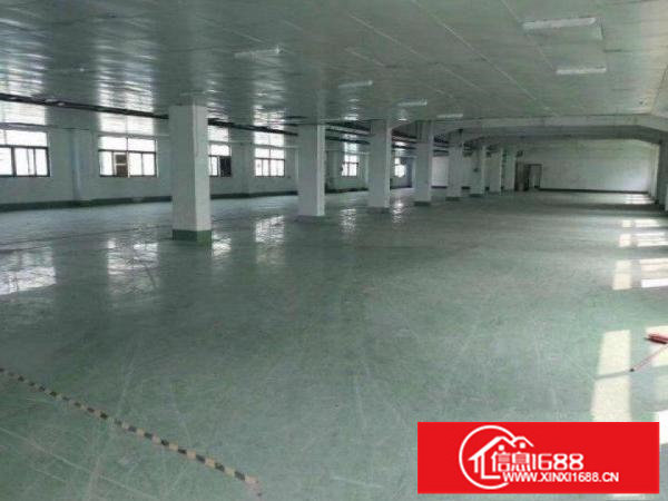 新出带红本1000平，大小可分