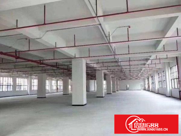 凤岗各种工业厂房大小分租