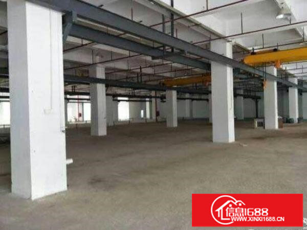 平湖原房东红本标准5.5米高一楼3500平方招租