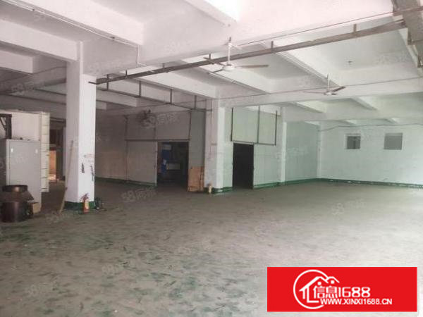 石排水贝工业区一楼1000平方超低价招租，水电齐全，可办环评
