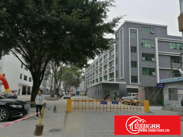 坂田五和地铁站200平300平500平方米