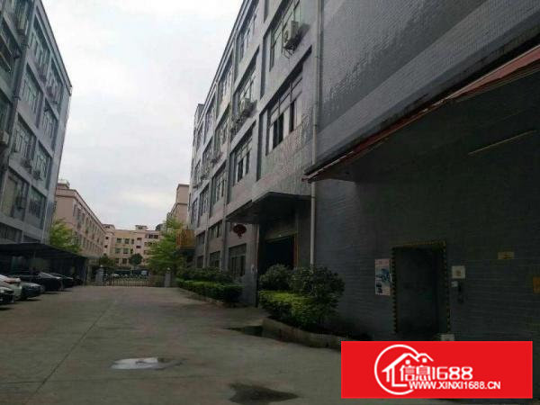 虎门南栅楼上带装修厂房2500平无转让费