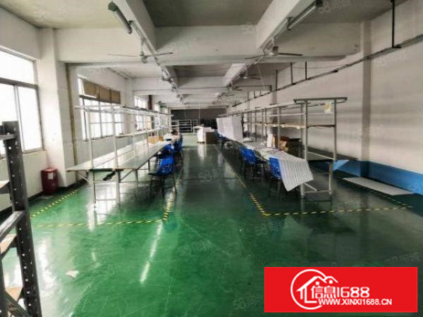 龙岗区龙东新出精装修厂房四楼1600平，实际面积出租，可分租