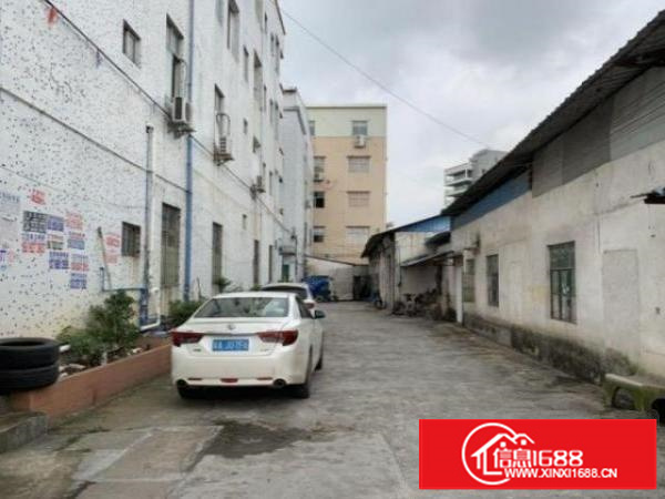 茶山孙屋村标准厂房一楼1200平方招租