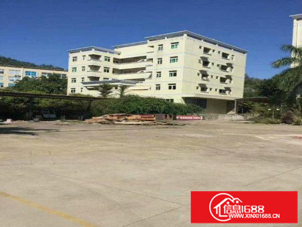 潼桥全新独院12000平标准厂房出租可做家私