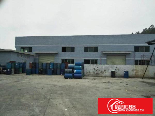 高速路口原房东独门独院钢构厂房