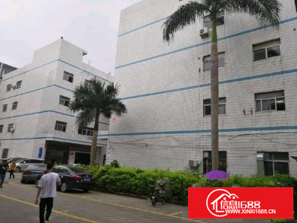 坑梓宝红路12-1厂房3000平可分租