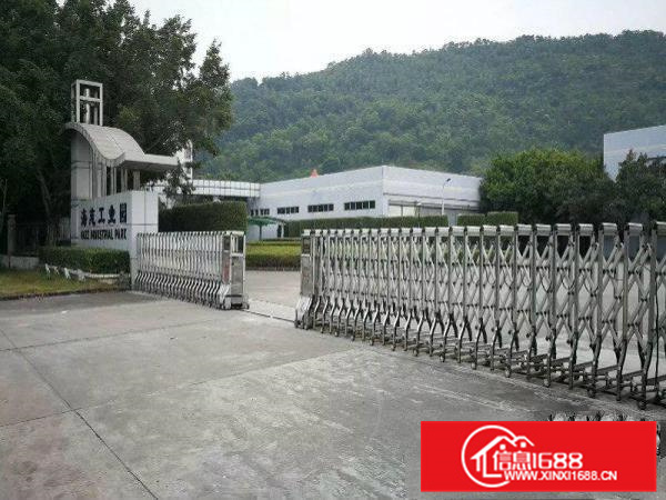 大亚湾原房东单一层钢架带红本分栋、整体招租