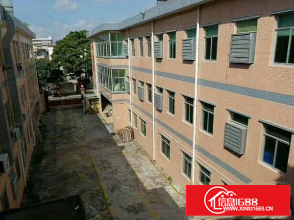 坪地标准一楼800平米低价急租