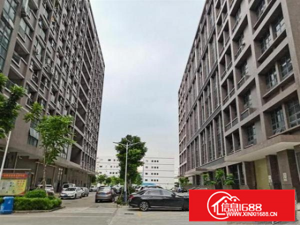 长安厦边新出970平厂房出租，空地大带红本