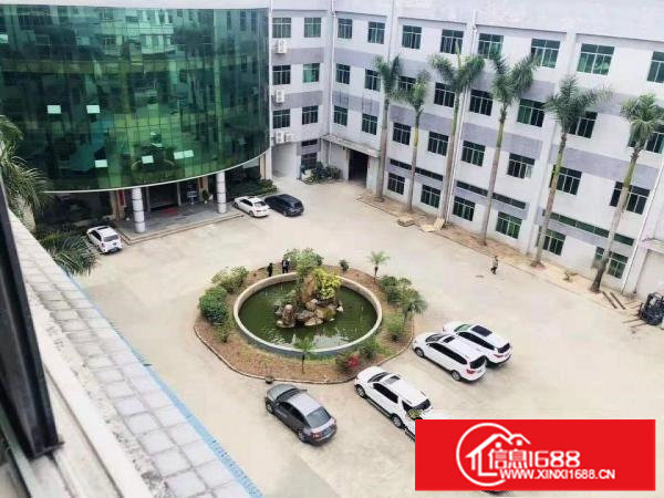 坪山同乐独栋厂房空地大