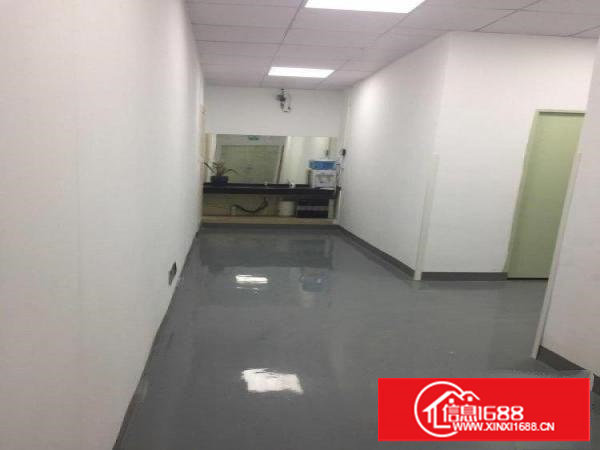 塘厦石马标准厂房3楼500平方！地坪漆天花吊顶装修