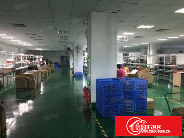 福永凤凰新出原房东5000独门独院精装修厂房出租