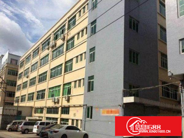 横岗龙岗大道新出1200平方楼上厂房招租无公摊