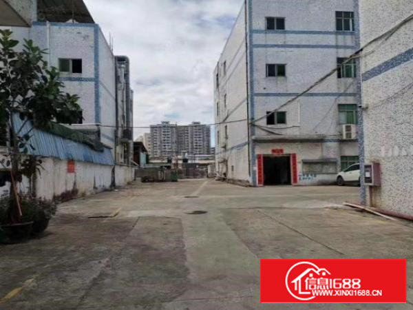 沙井独门独院厂房招租2100平方5600平方公摊小