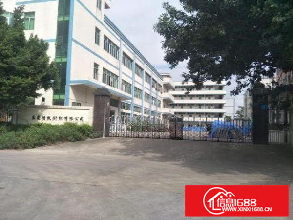 常平(新出多套)花园式独门独院厂房