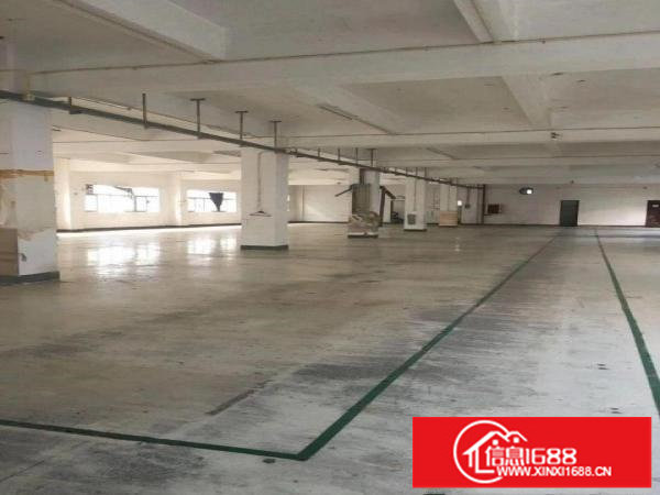 布吉南岭独院厂房1000平方一层共四层大小分租仓库加工