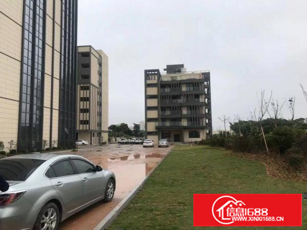 长安镇沙头全新高新厂房出租