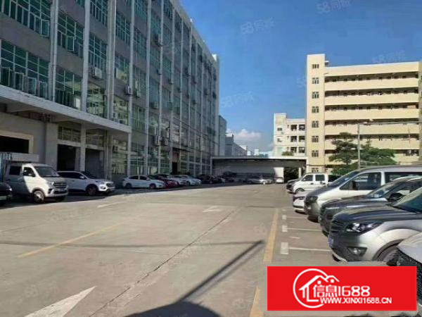 公明上村新出1楼1000平方独立空地1500平,楼层高6米