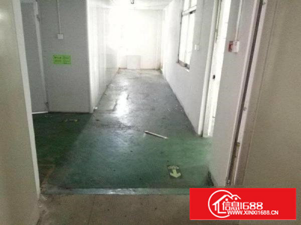 新桥二楼400平带2吨货梯，产证齐全，可环评