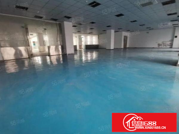 大工业区带精装办公室厂房1000平出租可分租100平起