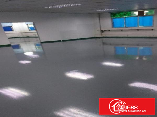 （出租）深圳龙岗坂田厂房/办公室/电商300平德众工业园2楼