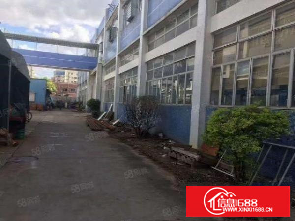 塘厦新出独栋2600平标准厂房出租