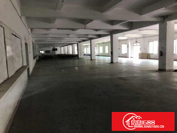 出租常平天鹅湖一楼厂房