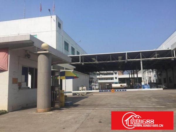 清溪三中工业区800平标准厂房楼上精装修分租