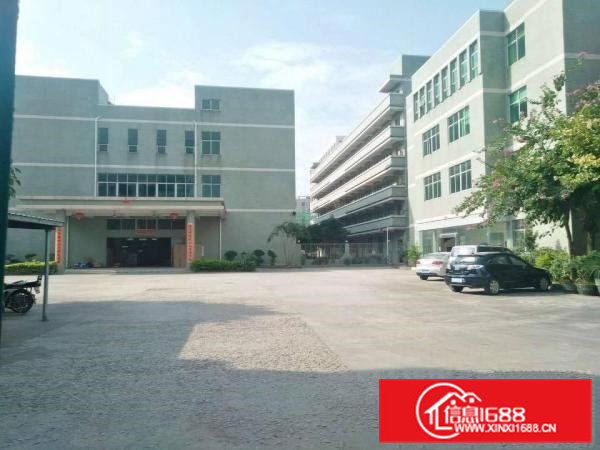 桥头镇东江村标准三楼1000出租