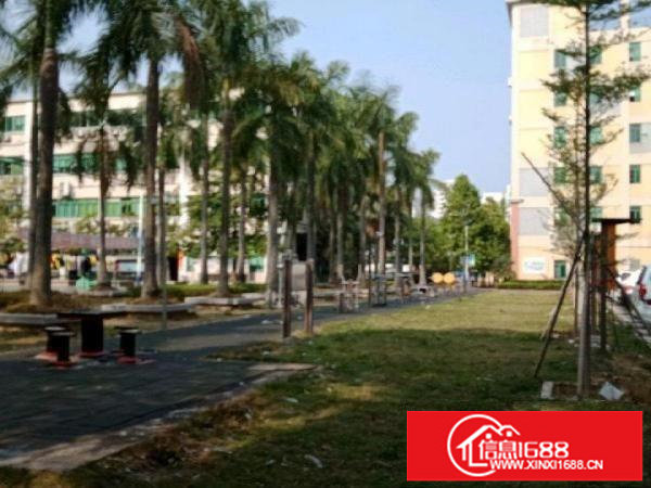 丹竹头150-400平方米厂房带球场