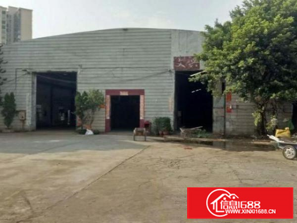 万江独院单一层厂房3000平方出租配电250千瓦水电齐全