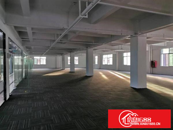 坂田杨美地铁口新装修办公室1530平方招租（可分租）