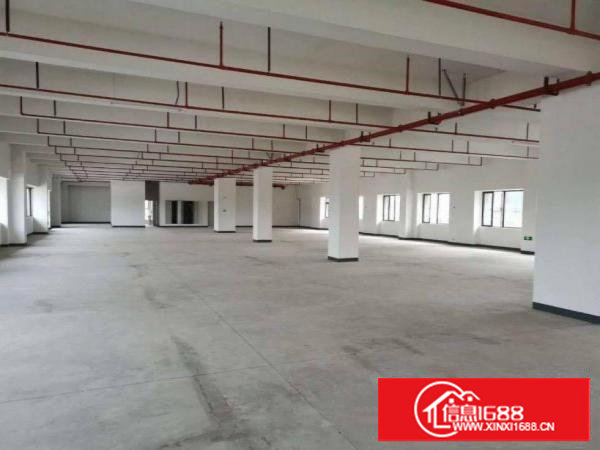 蛟乙塘工业区新出2500平原房东独门独院厂房出租电商仓库分租