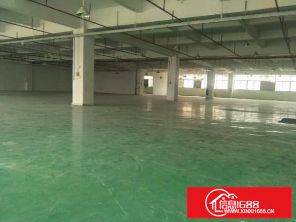 清溪镇原房东独院厂房8600平方带装修招租