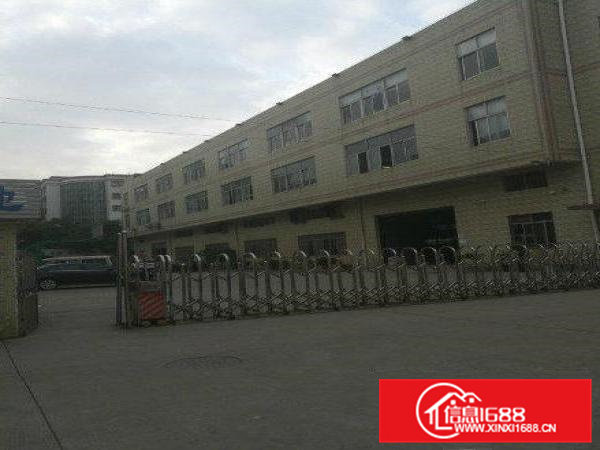 急租横沥张坑标准厂房楼上整层1200平有豪华装修厂房