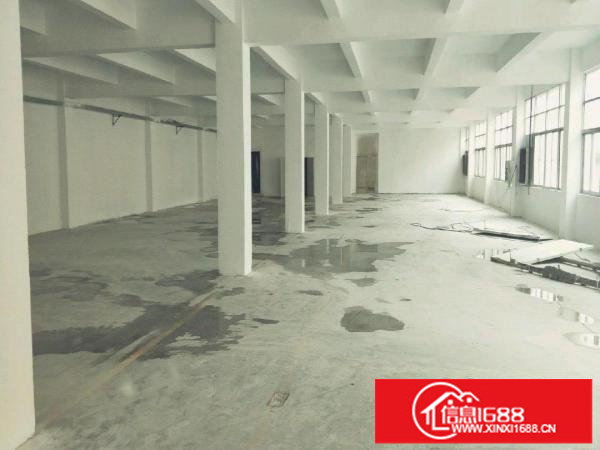 龙岗区新生社区新生路边200-800平方可分租厂房出租！