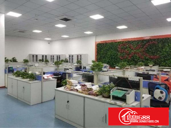 全新豪华办公室出租（带装修，可分租）