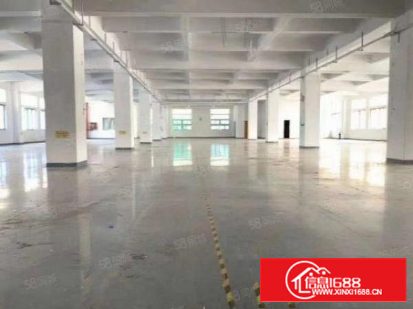 沙井新桥新出原房东独门独院5000平方厂房招租