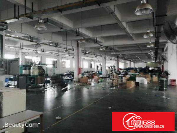 东莞大岭山精装修标准独院厂房15000平米