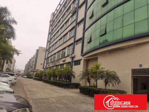 毗邻松山湖高端产业园空出1644方标准厂房出租，红本厂房