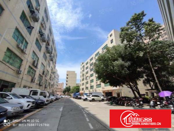 石岩机荷高速旁村委厂房实际面积招租