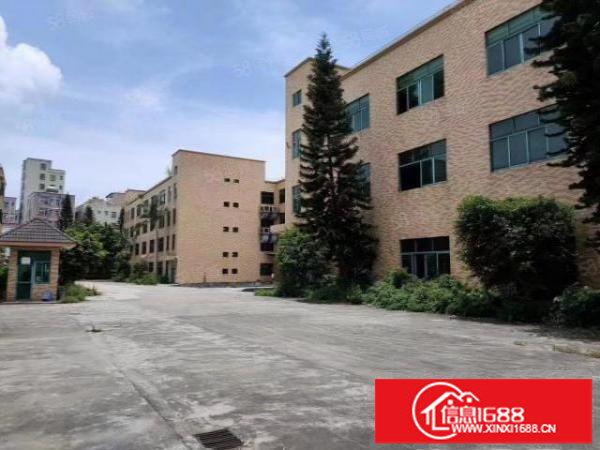 观澜牛湖新出原房东花园式独院厂房1到3层4500平出租零公摊