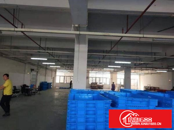 板田一楼360平1074平2714平水电齐全适合物流