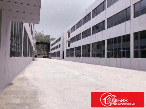 龙岗区高新产业园2900平方厂房办公仓库出租，带红本