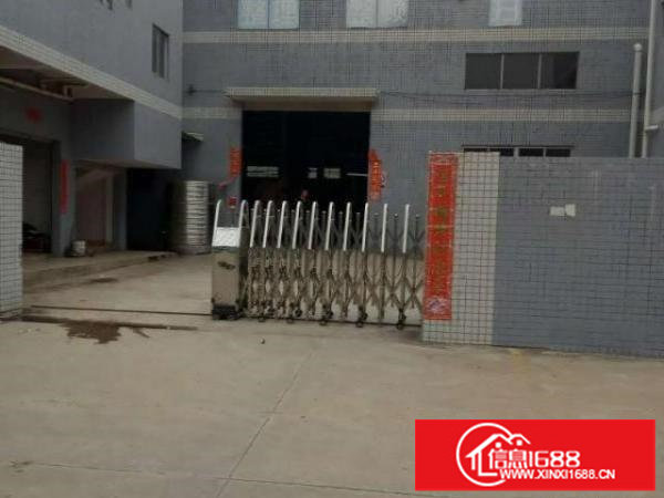 光明新坡头独院钢构2500平方，滴水6.5米全新装修招租