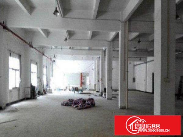 横岗嘉华路新出800平方带办公室一楼厂房招租