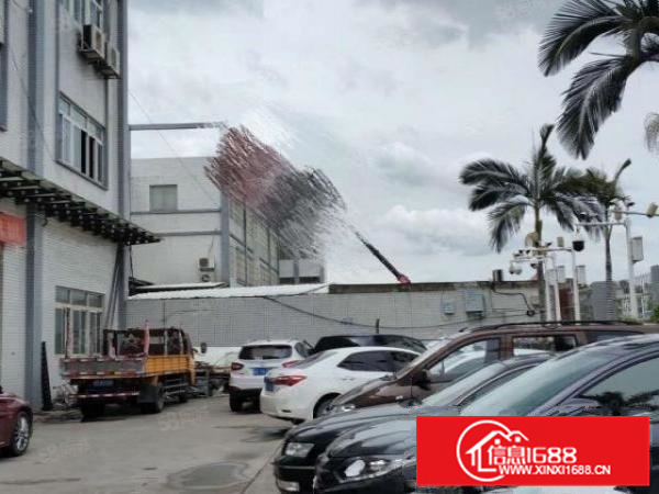 出租原房东佛山市狮山B区工业大道